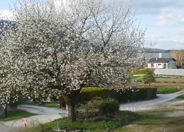 Cathy Terrasse Leane アパート *